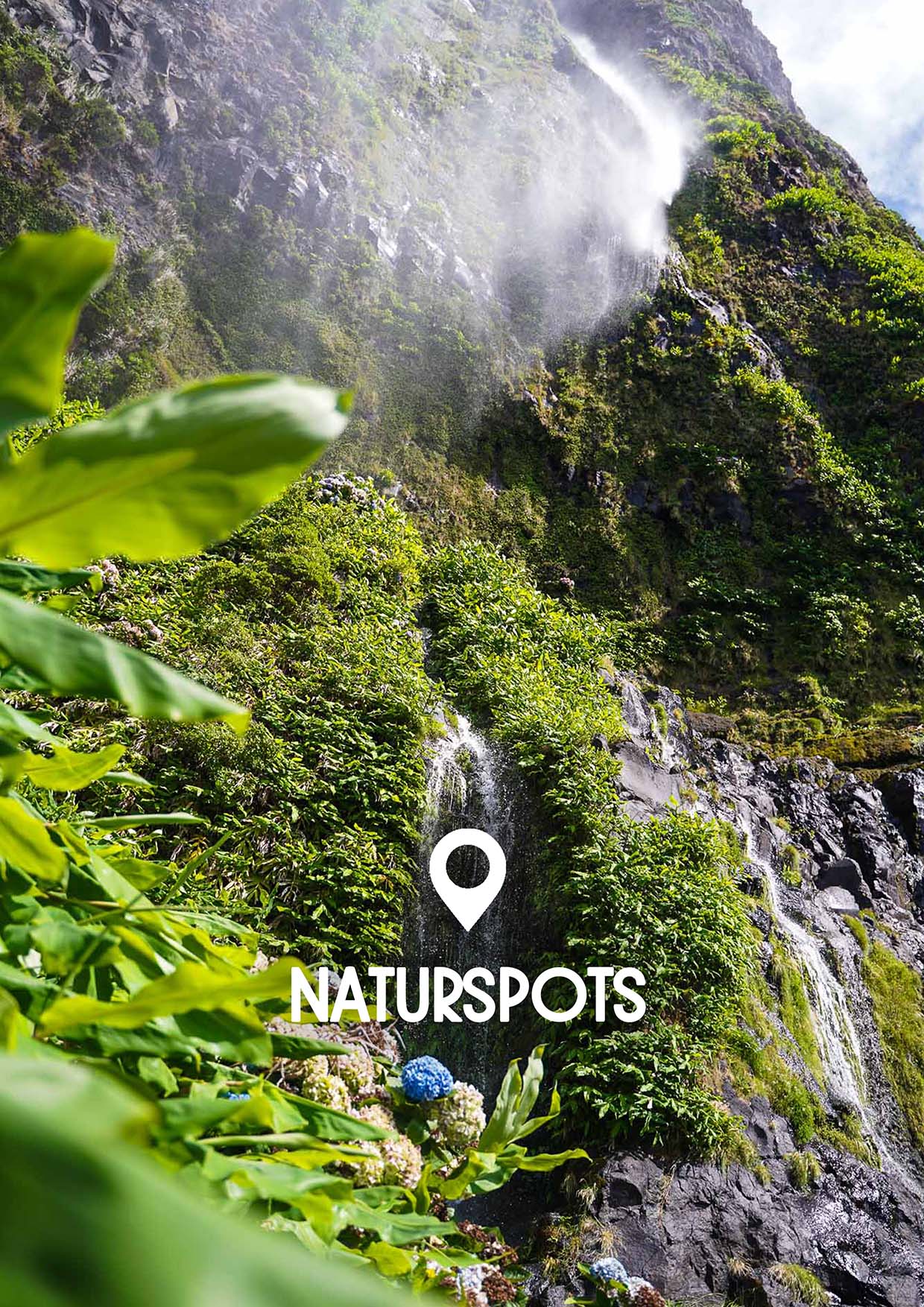Madeira & Azoren Spots (Bundle)